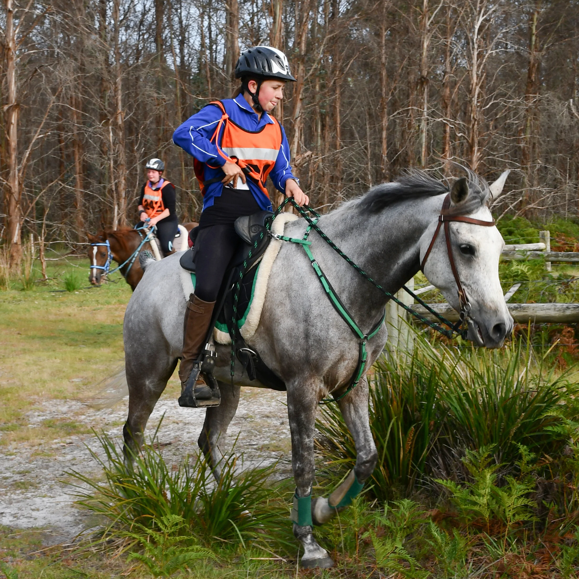95km 1st Junior &amp; BC - Matilda Rockcliff &amp; Erinvale Jim -  8hours 20 minutes
