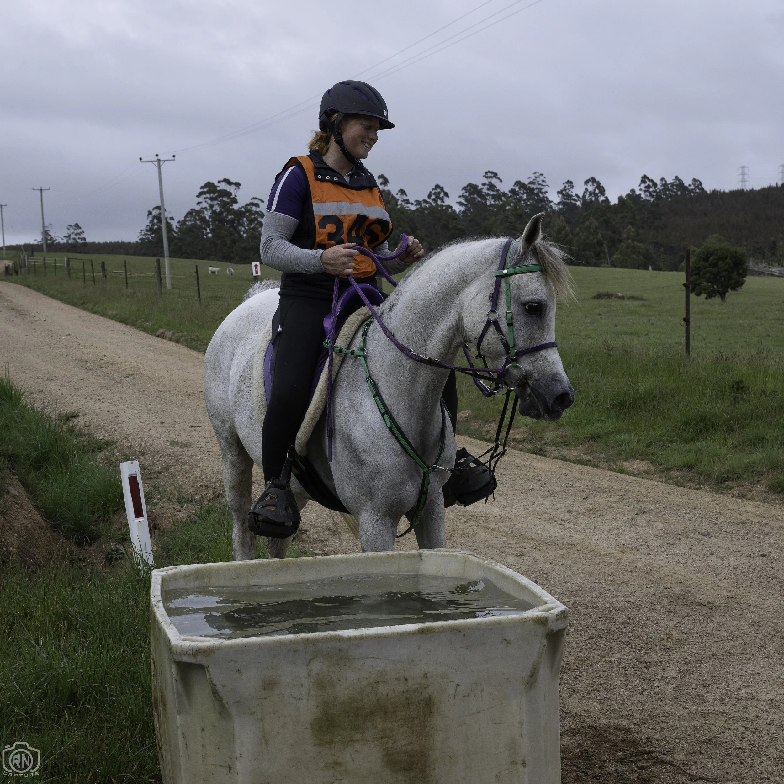 Gallery-231028-Oss-Foley — Tasmanian Equine Endurance Riders ...