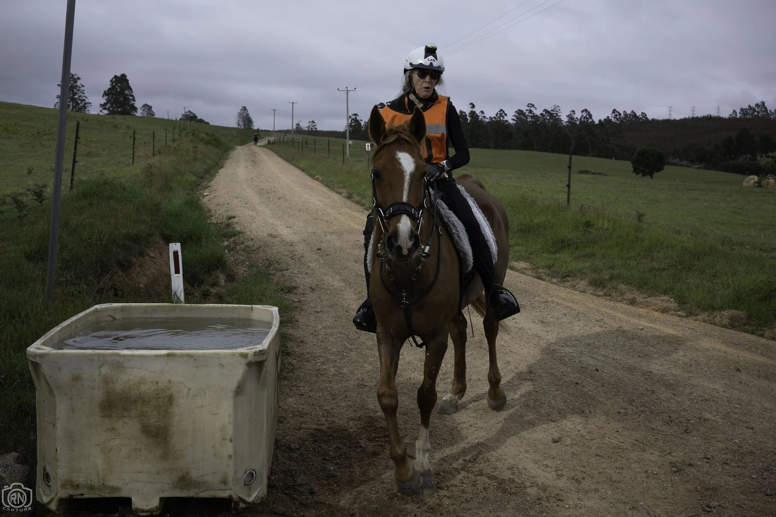 Gallery-231028-Oss-Foley — Tasmanian Equine Endurance Riders ...