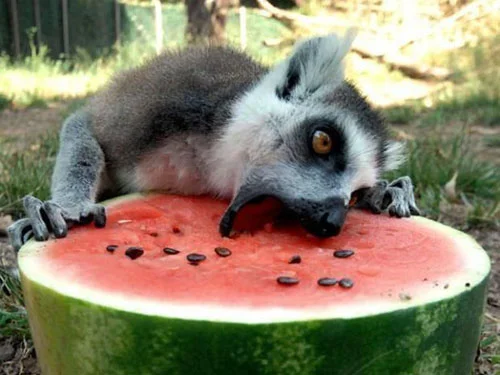 Why am I SO hungry all the time?