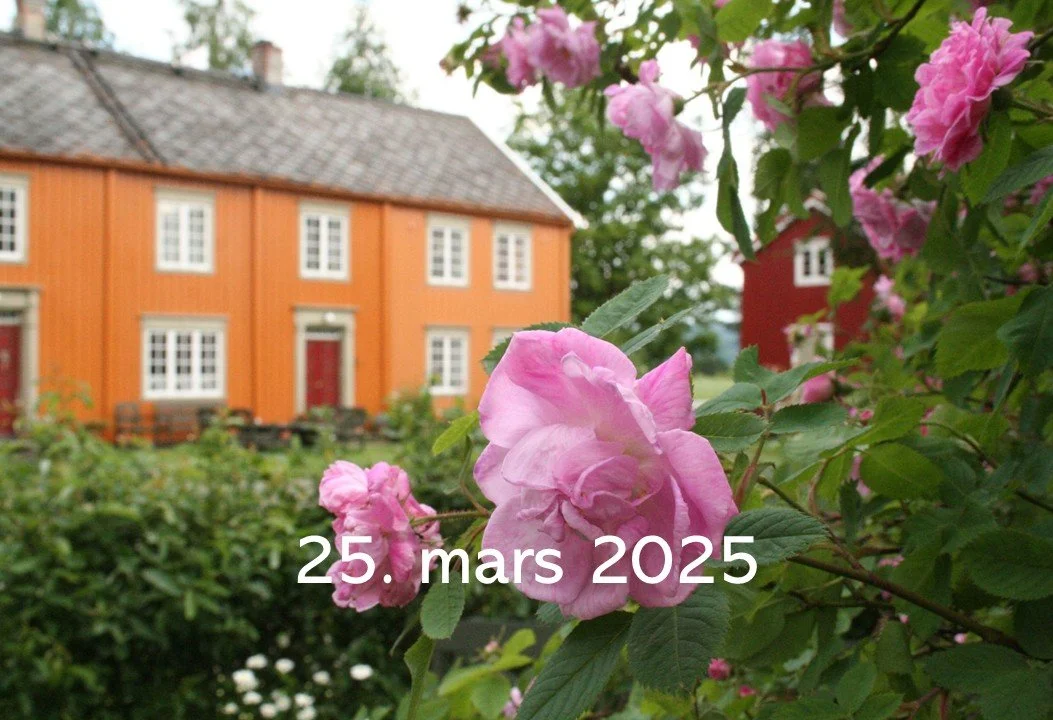 Nyhetsbrev 25. mars 2025