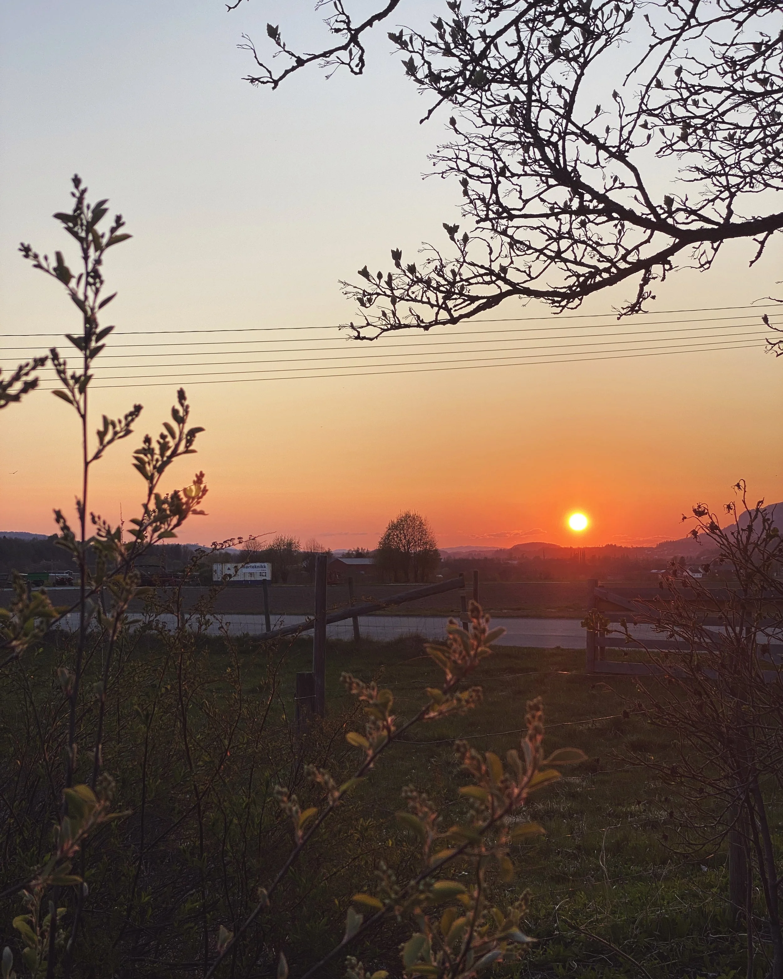 IMG_4815.JPG