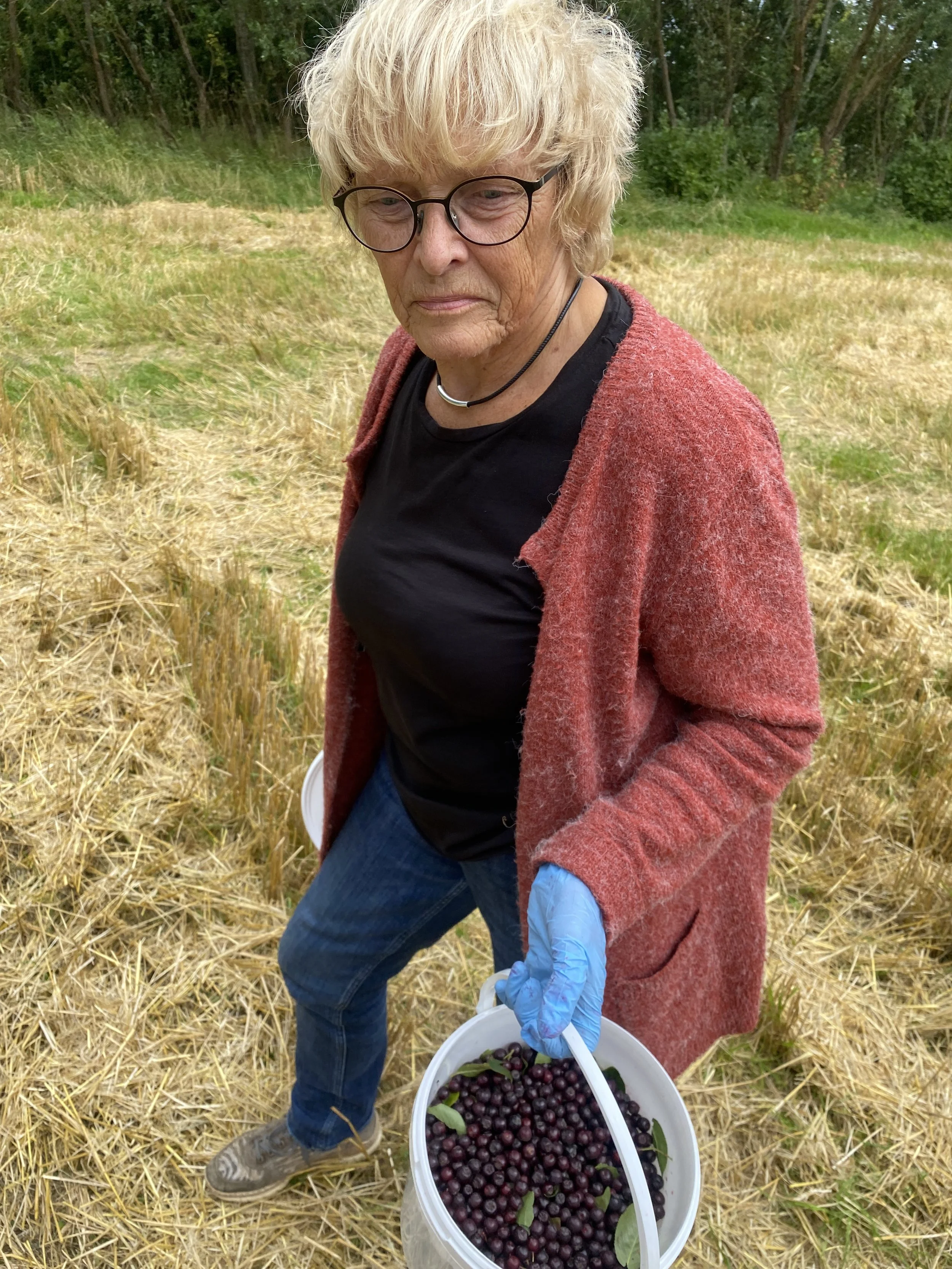 Nyhetsbrev 2. oktober 2025