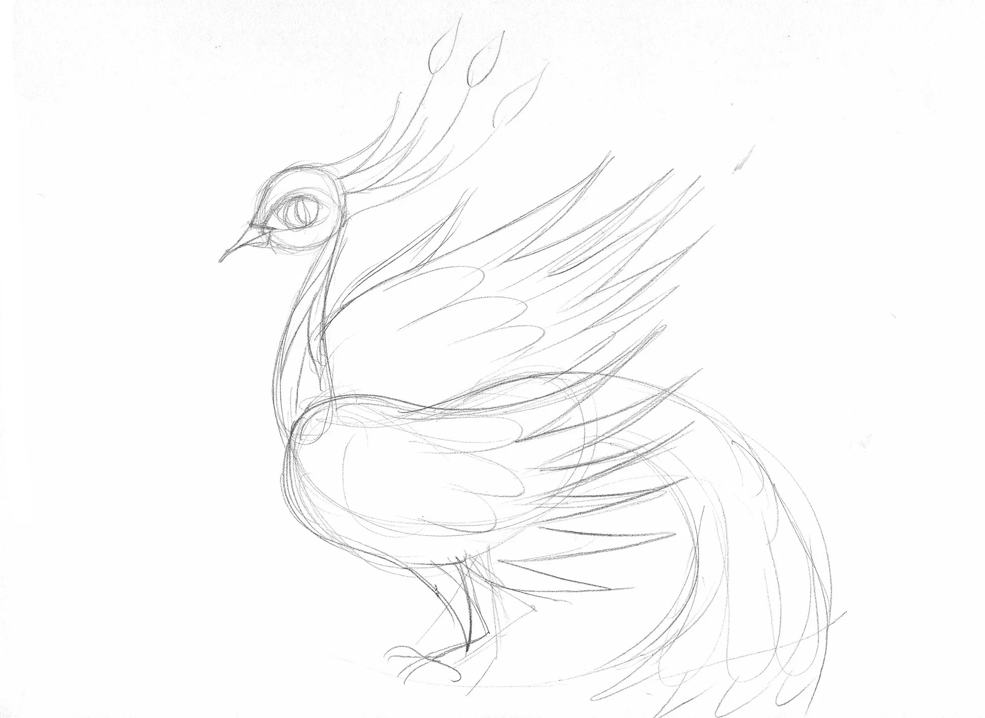    L'Oiseau de feu . Voir le livre  