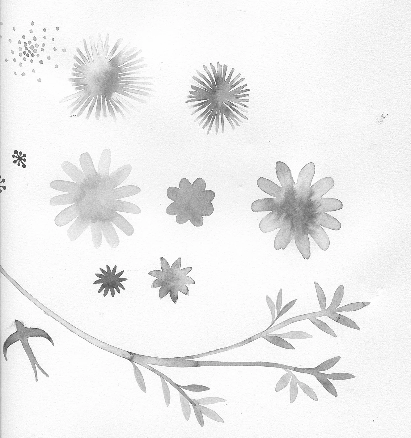 aquarelle-cacharel002.jpg