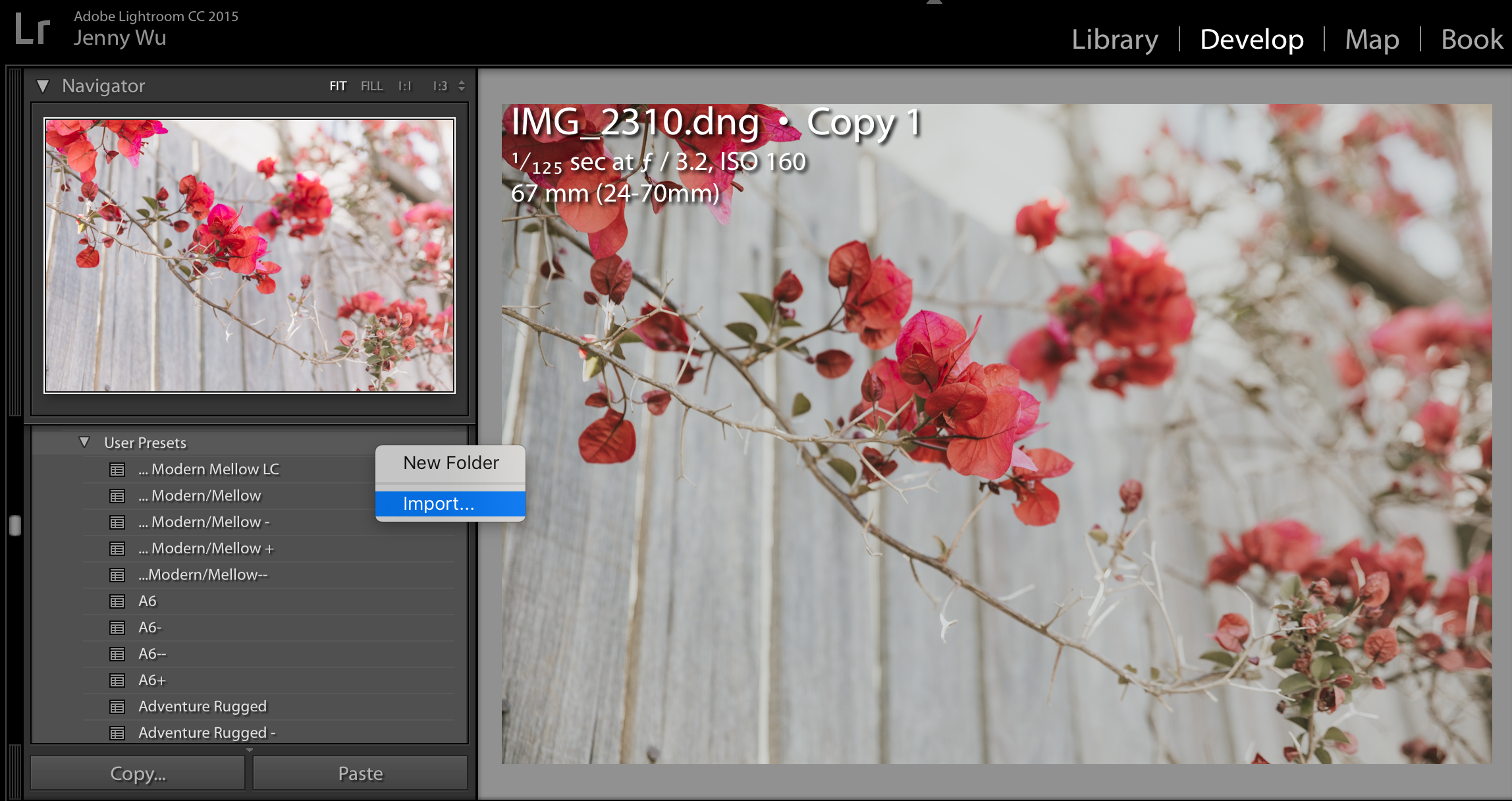 How to install and use Lightroom Presets Part 1 — Jenny Wu Photography