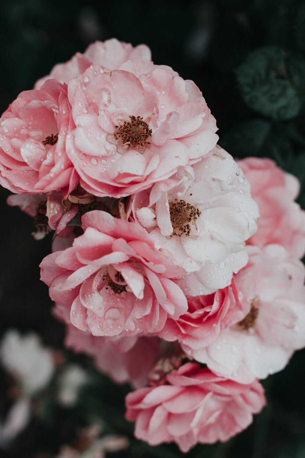 Fashionlightroompreset-2.jpg