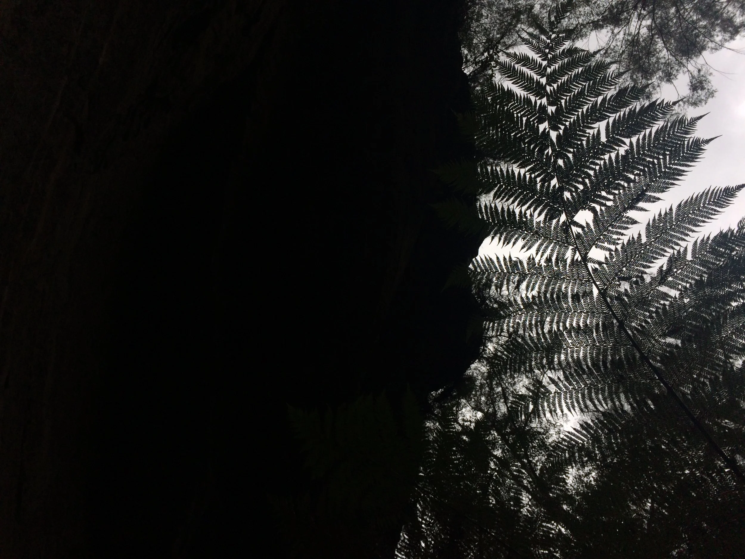 September Lessons for Learning