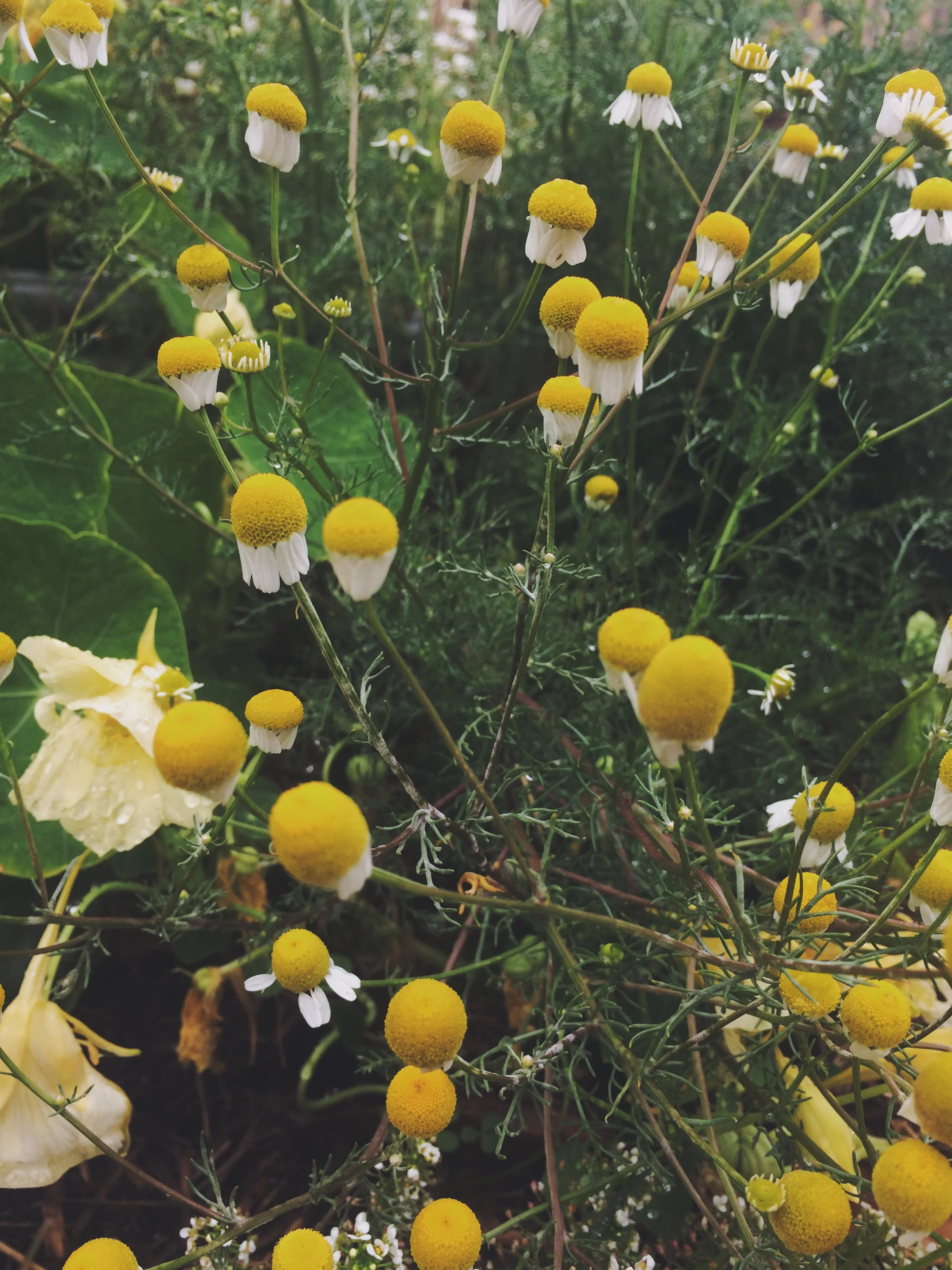 October Lessons for Learning