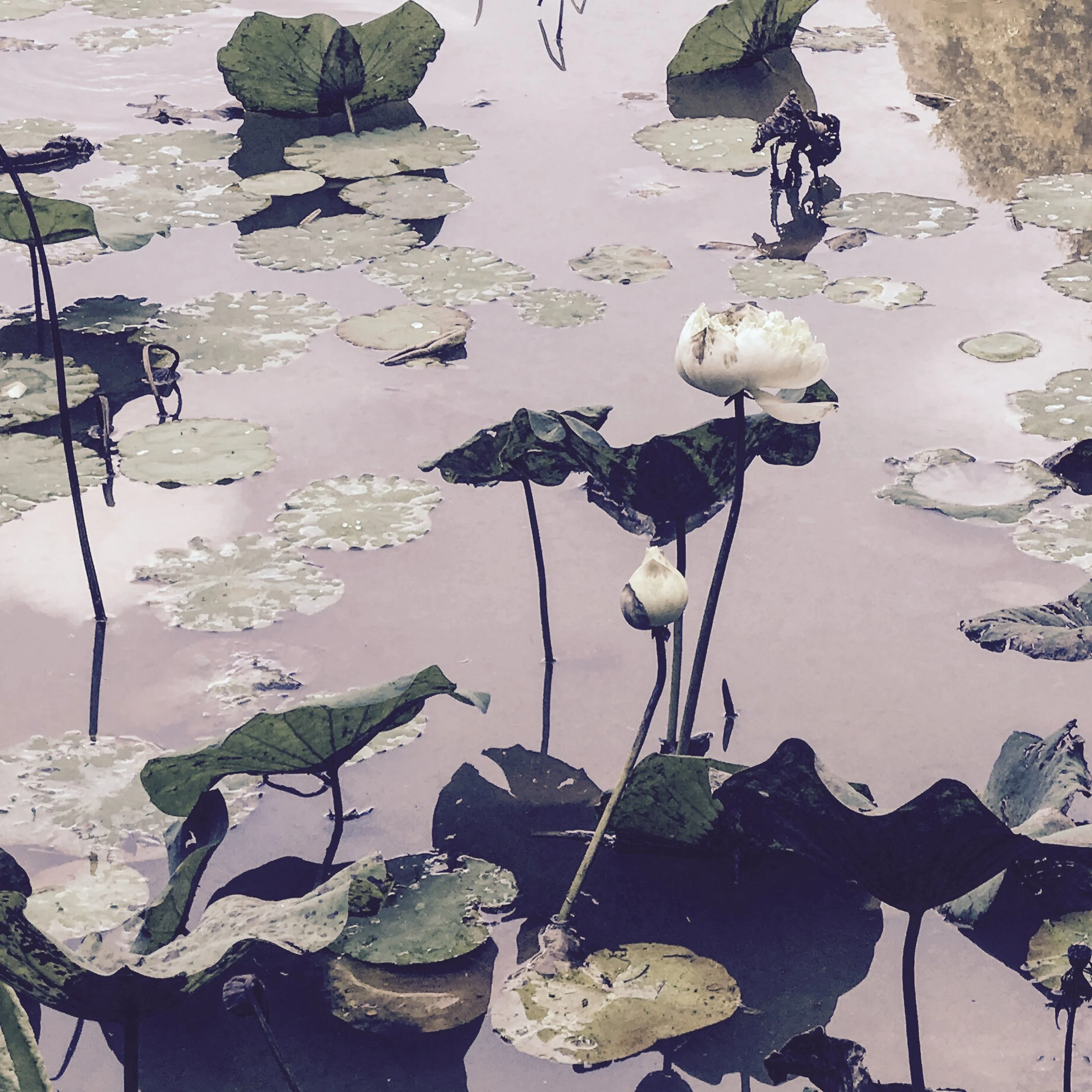 April Lessons for Learning