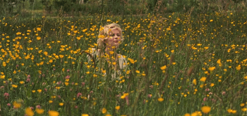Film Images from Marie Antoinette (Sophia Coppola, USA, 2006) (Image sources: unknown)