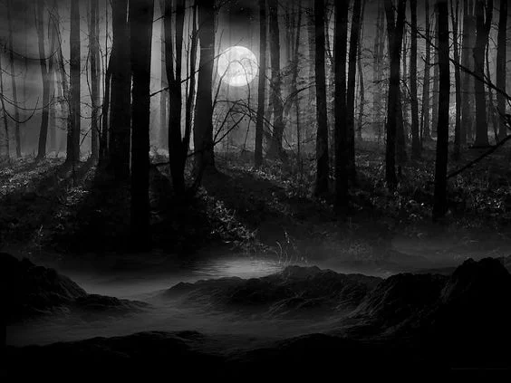 Black Wood