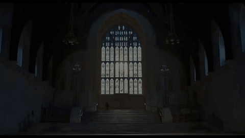 giphy-2.gif