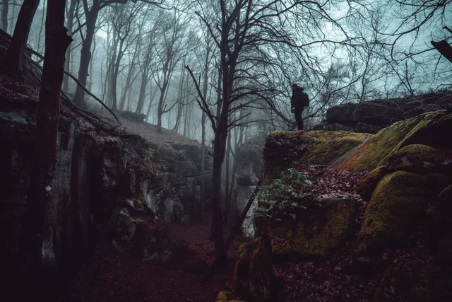 Spotlight: Tobias Nikolaus