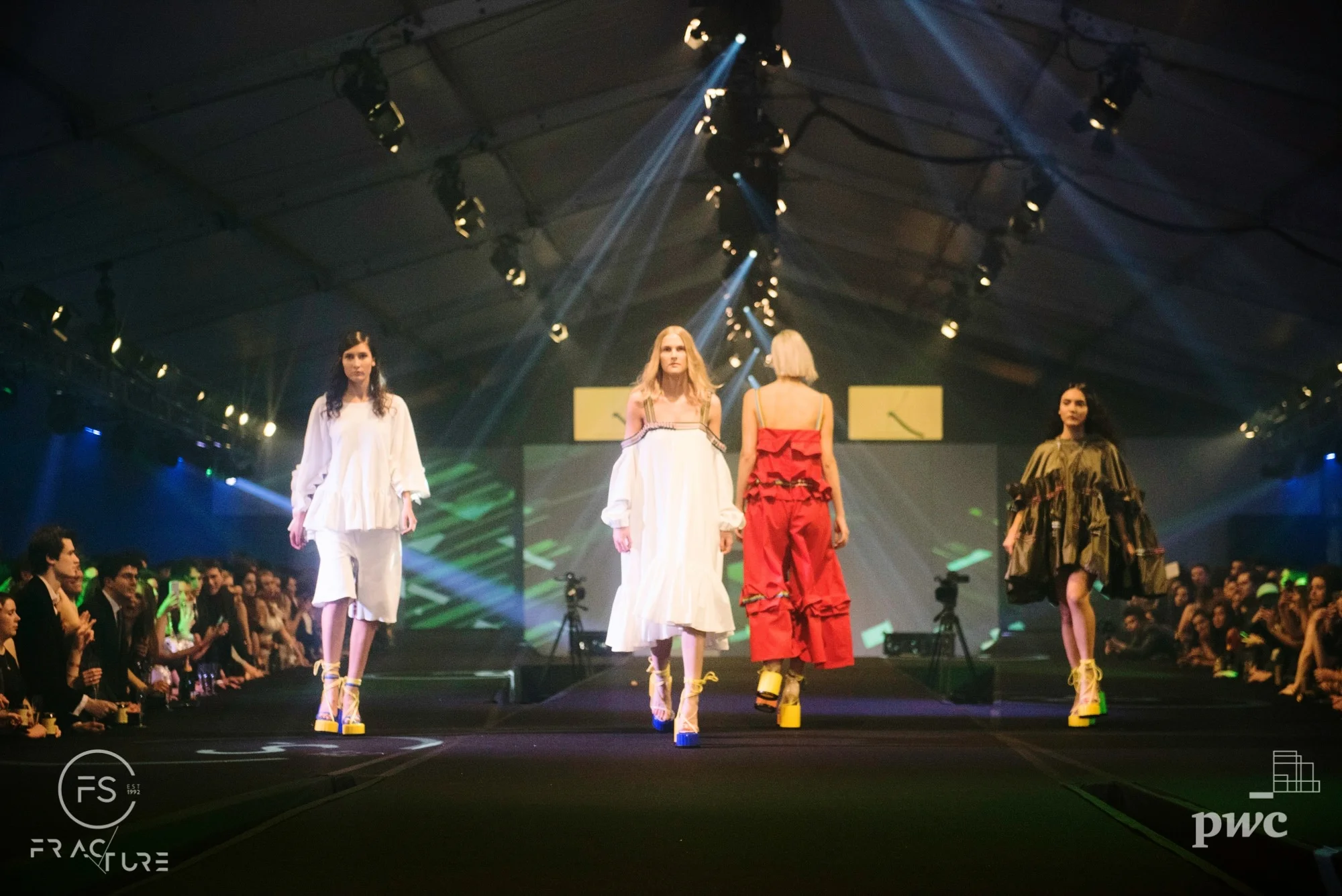 FS 2018: A Fractured Evolution