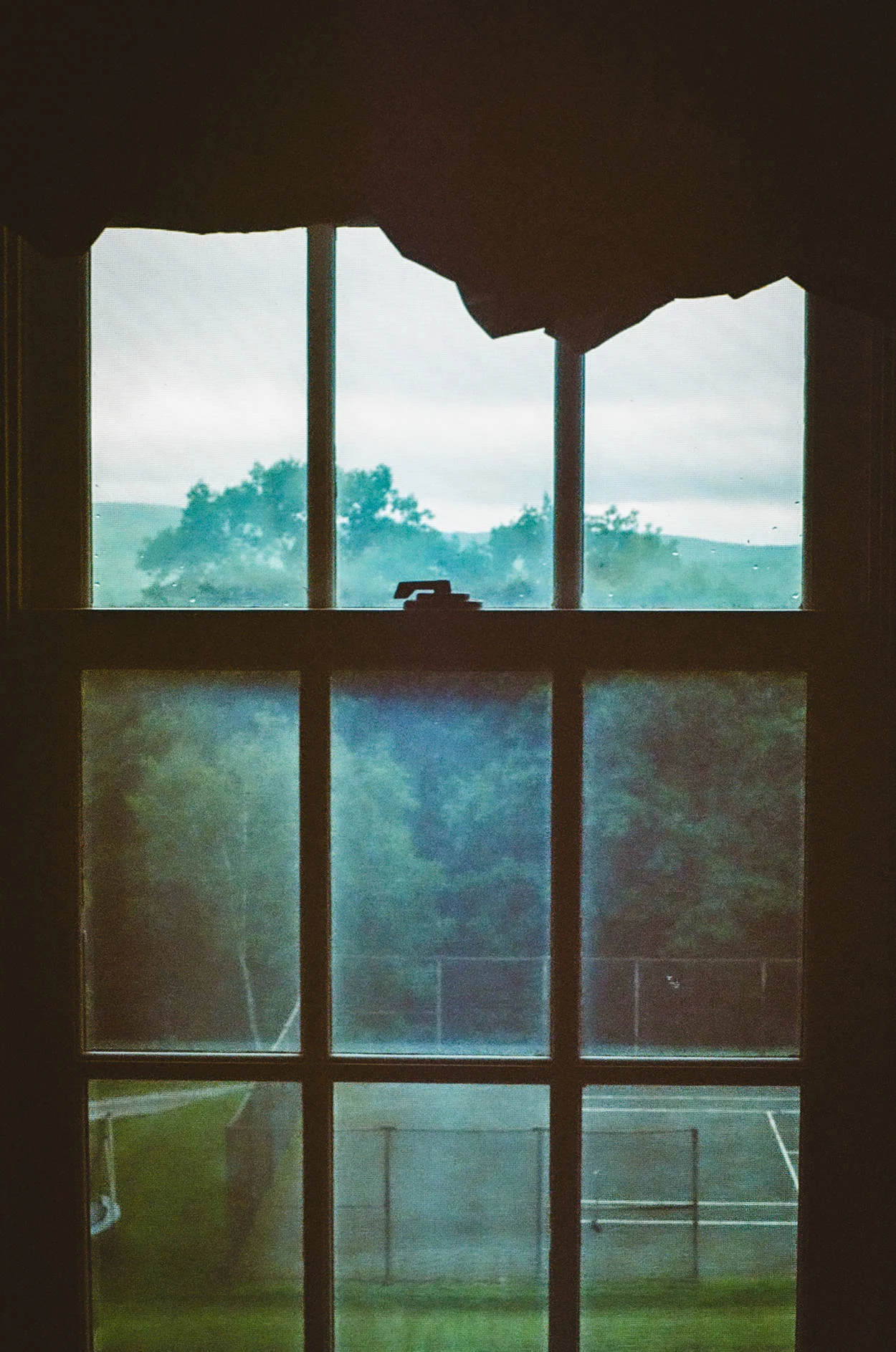 Photo Credit- Maddy Bazil