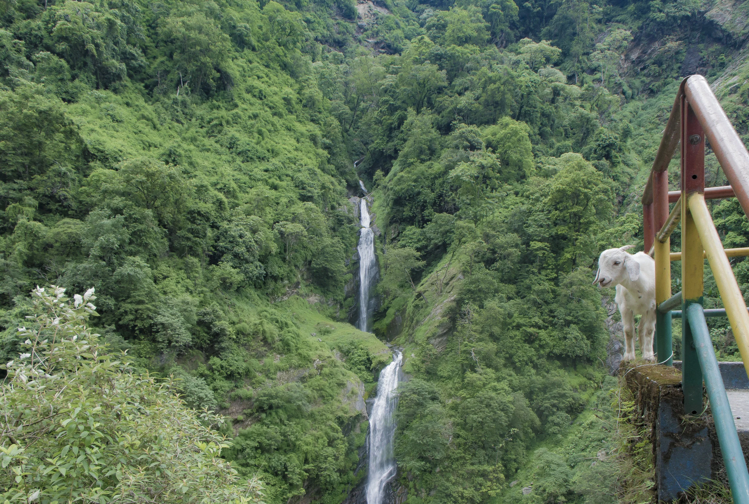 Miles Phillips: Studies of Nepal