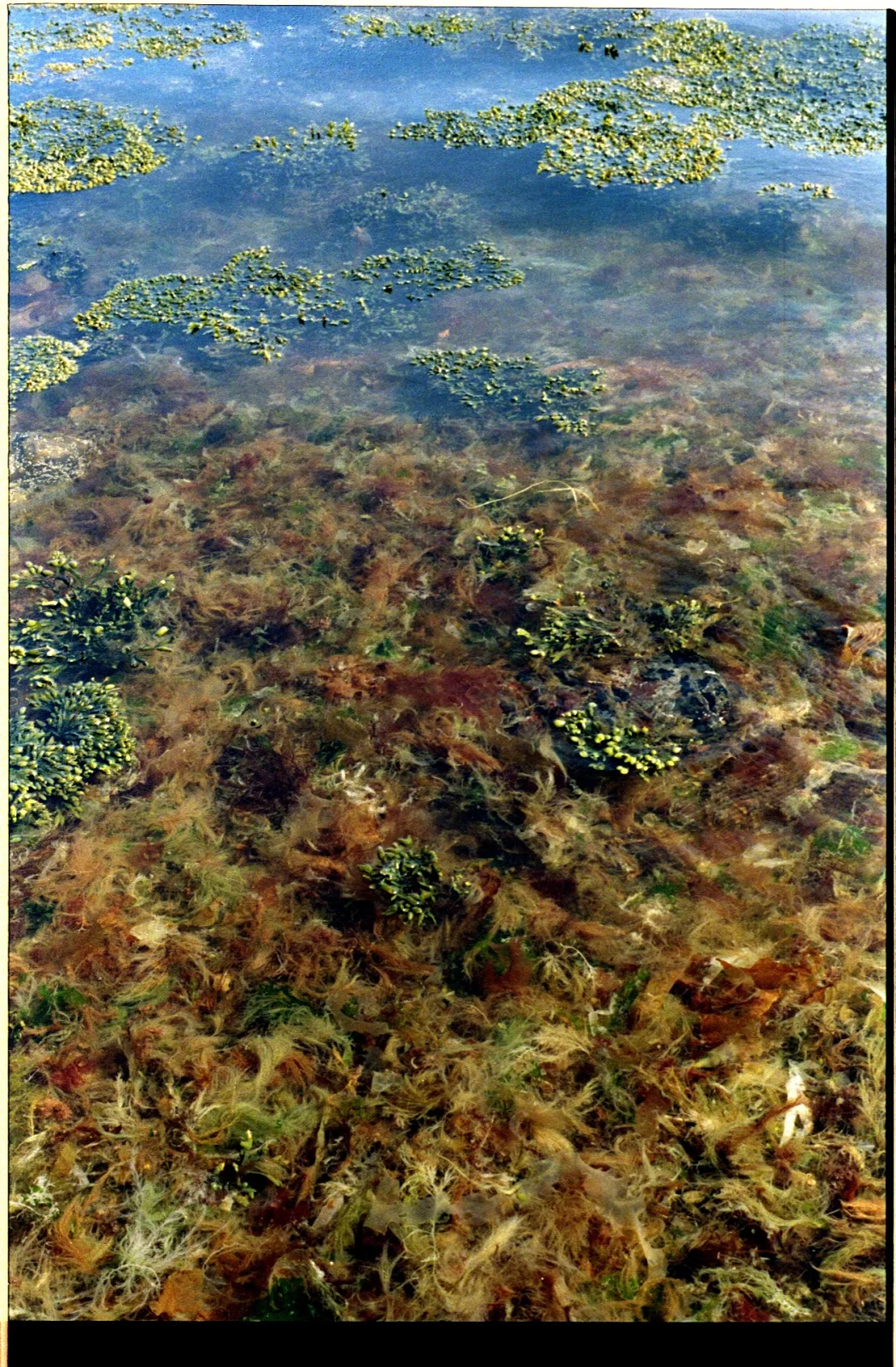 Copy of scan0046.jpg