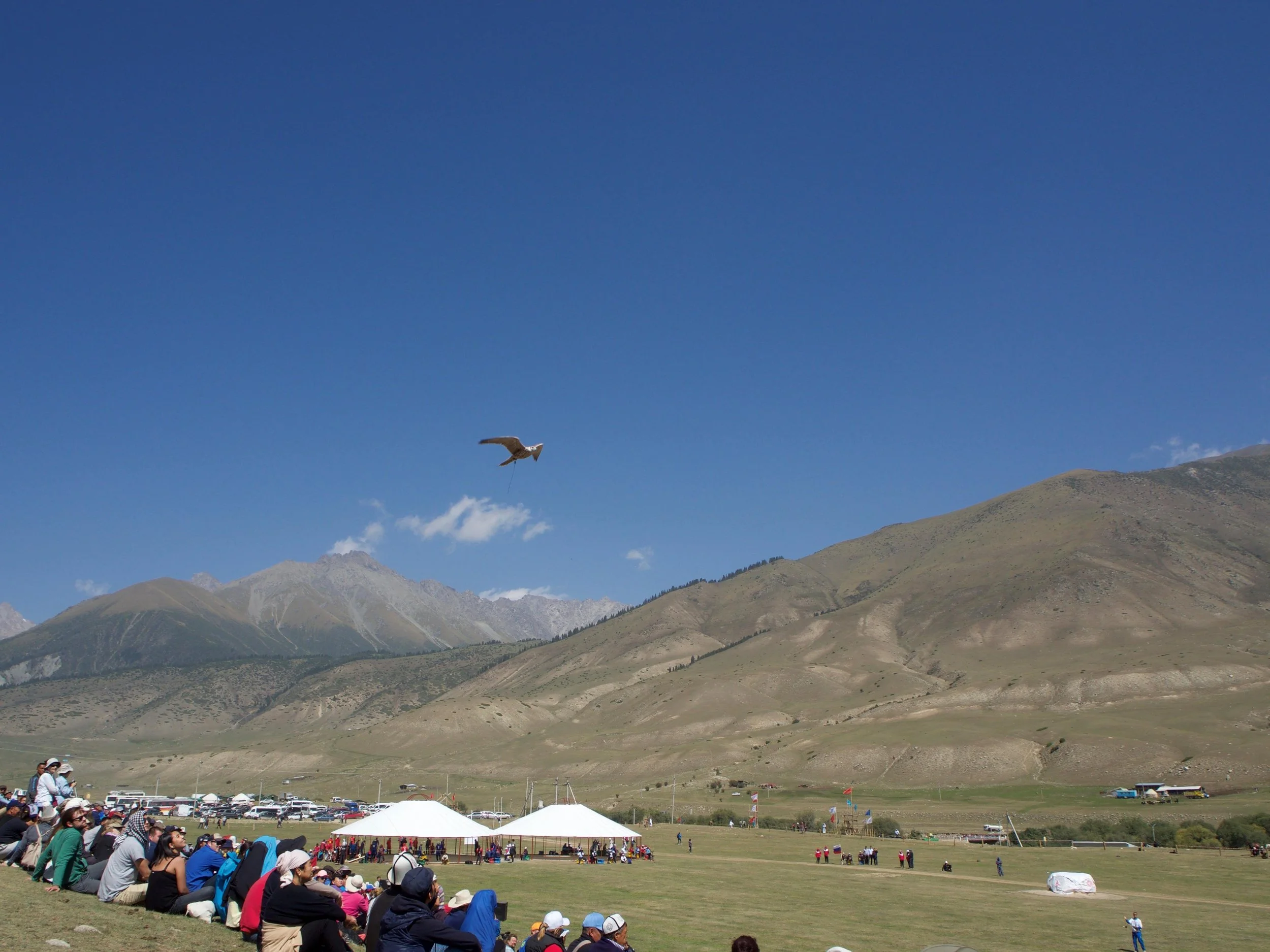 Bird Competition Photo by: Emilie Adriaen-Gourraud