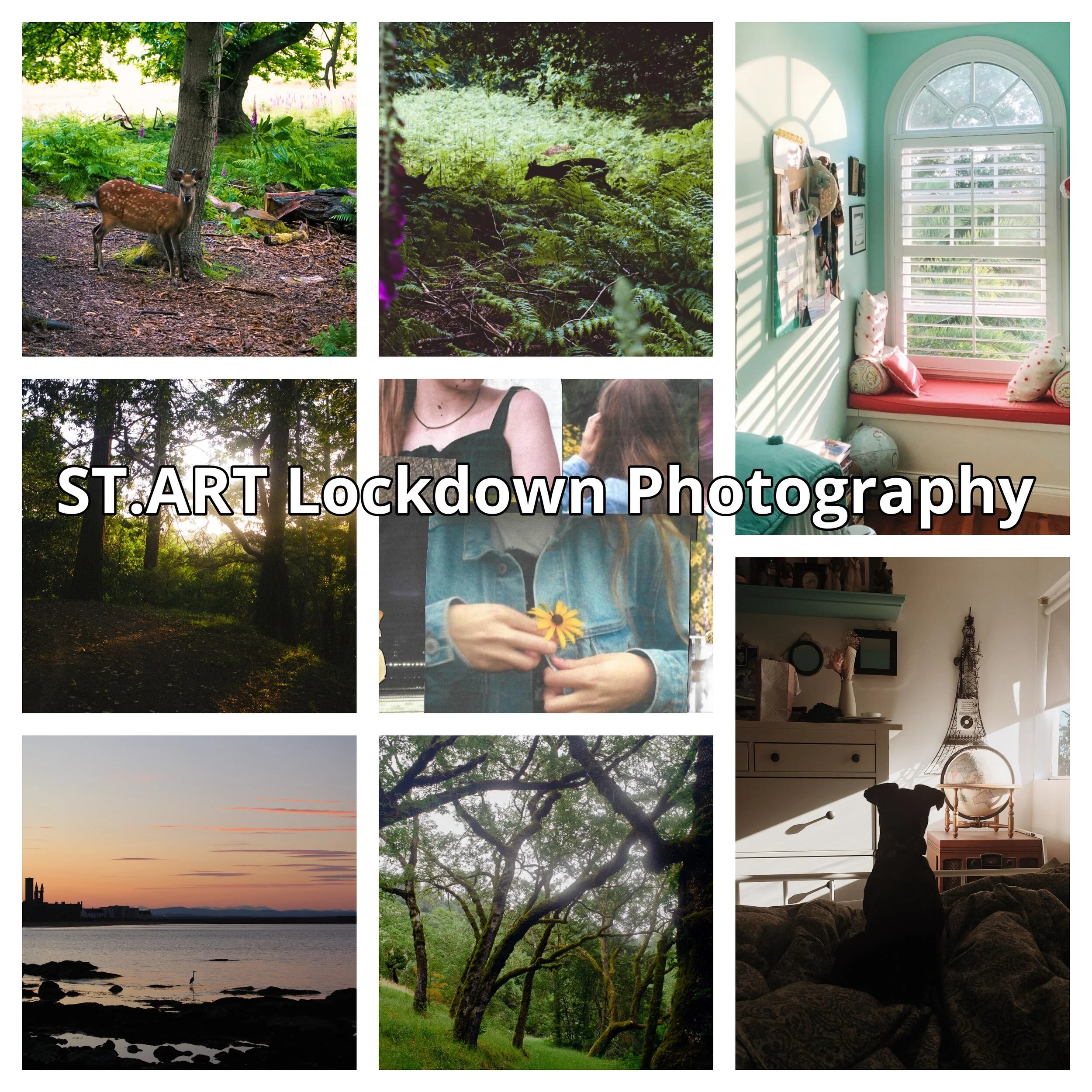 St.Art Photography Team: Our Lockdown in Photos