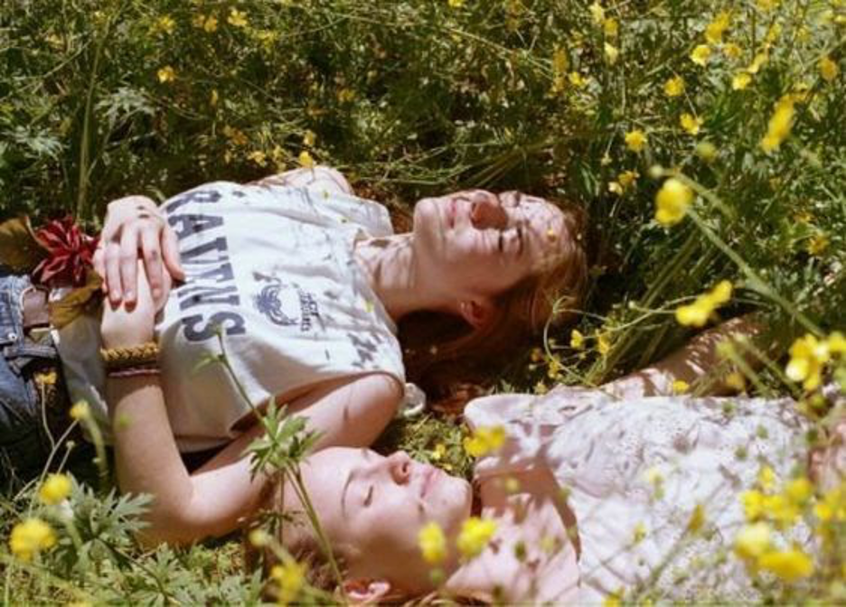 Aesthetic Subcultures: ‘Dark Academia’, ‘Cottagecore’, and Their Relevance to 2020