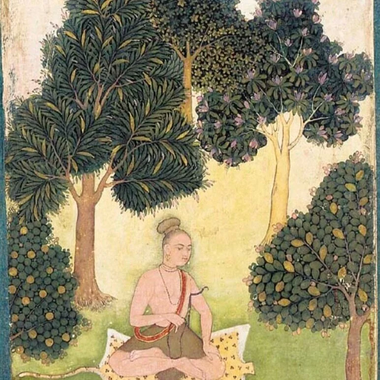 Yoga in Museums