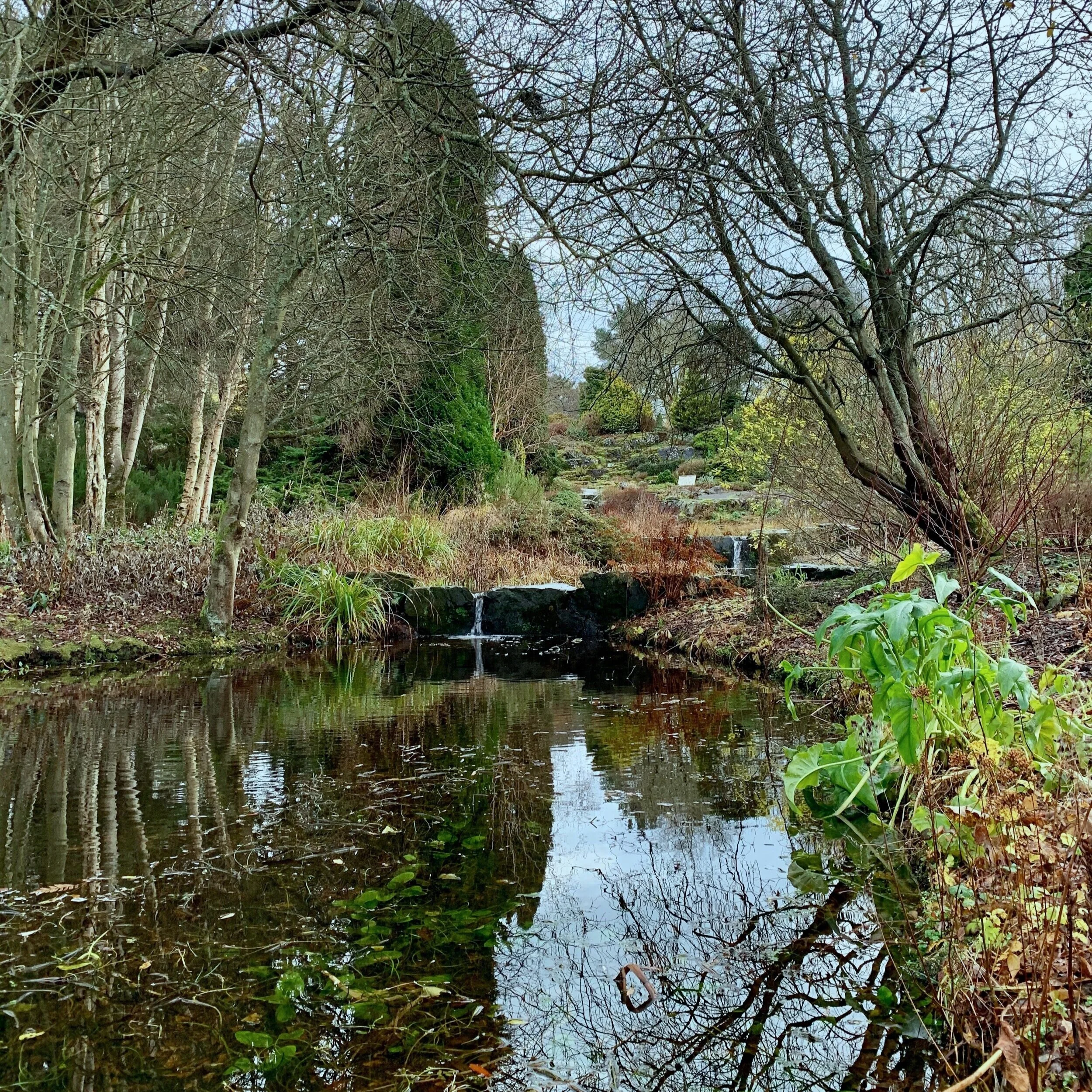 Act II, Botanic Garden