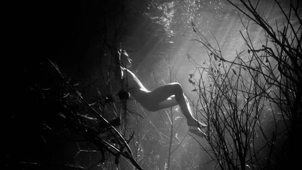 The Deep Blue: The Sea, Swimming and Cinema  