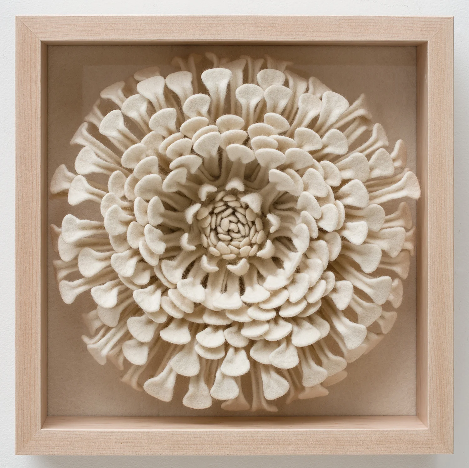 Annmarie In Bloom