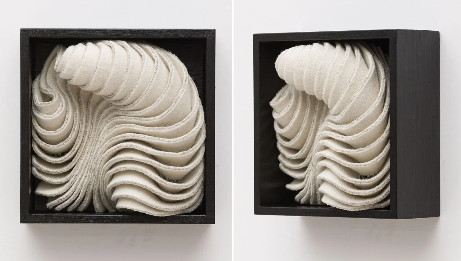 Amplified Form no. 1