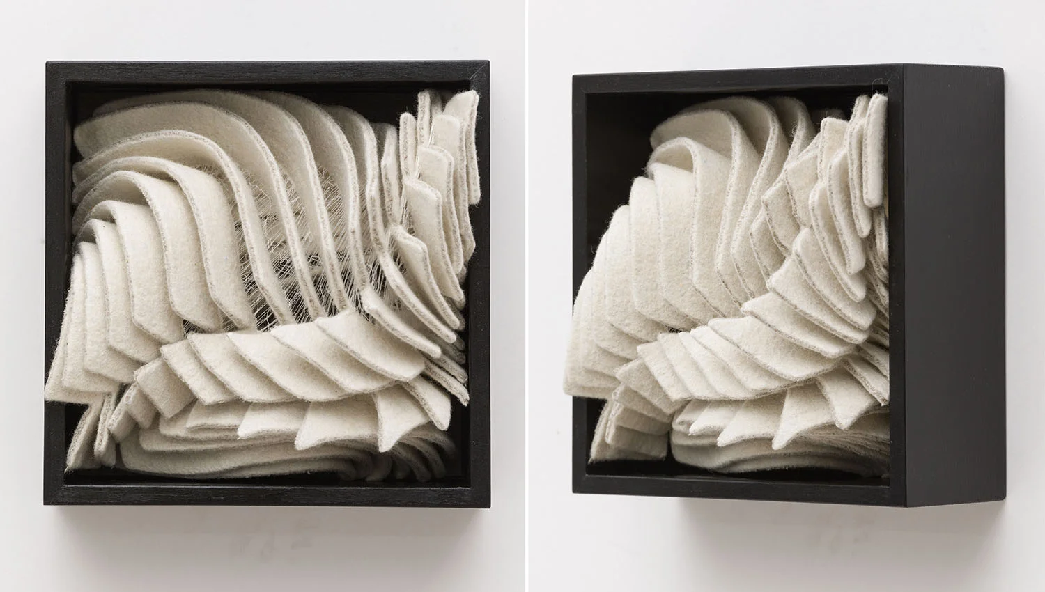 Amplified Form no. 4