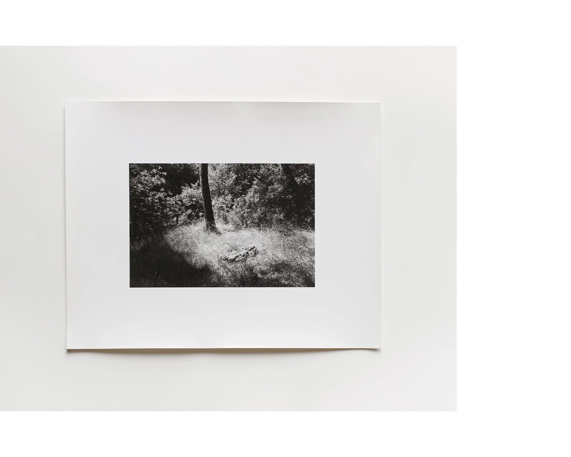 untitled - 2014 - 24x30cm gelatin silver print