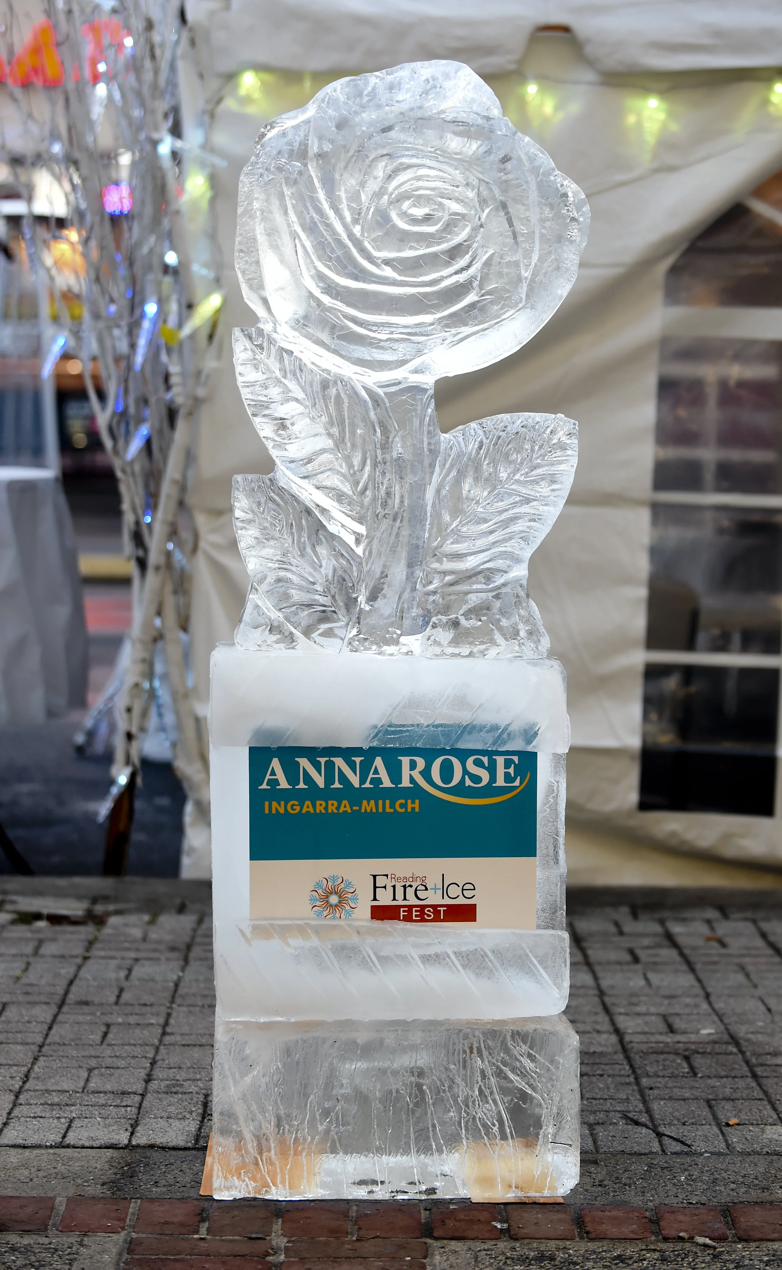 Anna Rose.jpg
