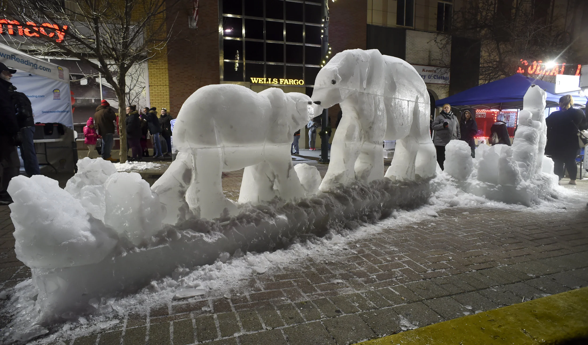 Bears2.jpg