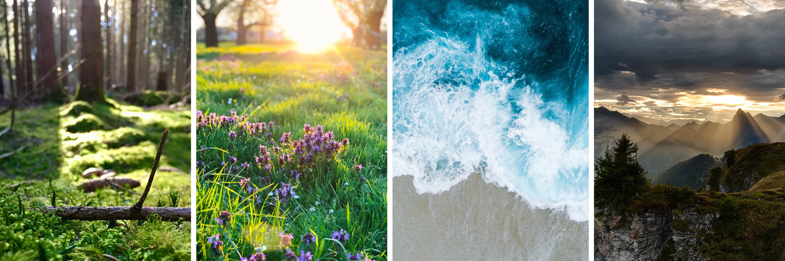 wald-wiese-meer-berge-meditation