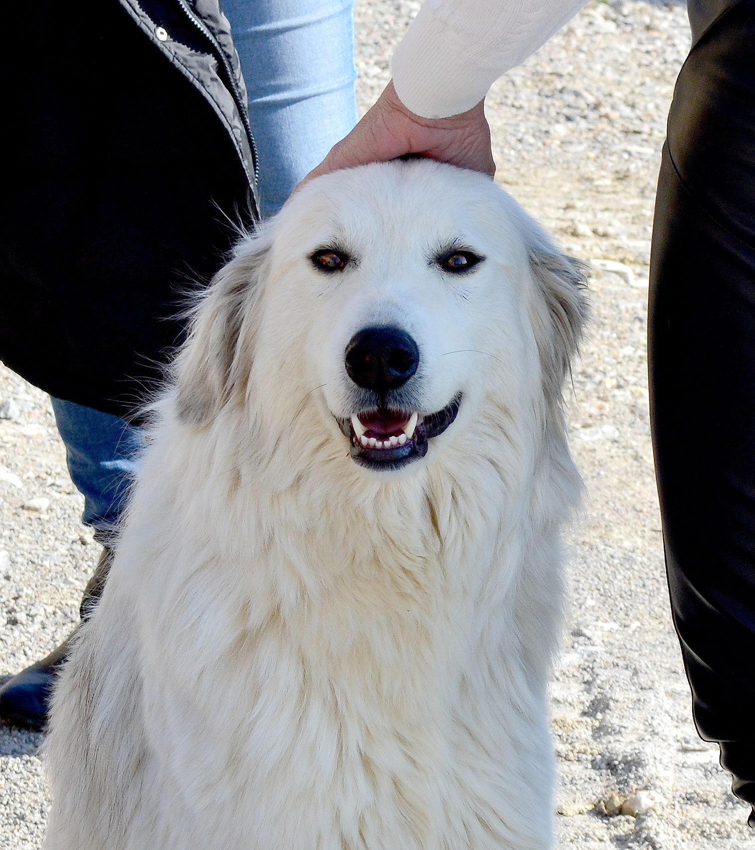 DSC_0132_lrger.jpg