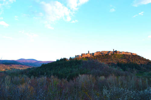 DSC_0215.jpg