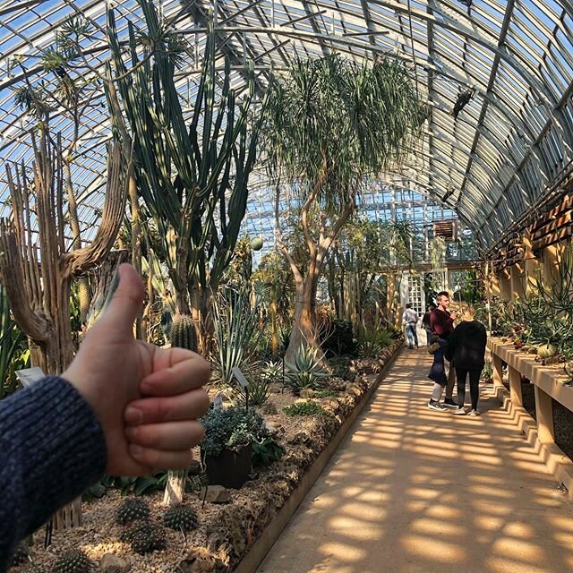 Thumbs up, Garfield Park Conservatory.
.
.
#choosechicago #garfieldparkconservatory #plantsonplants #est1907 #🌴🌵🌻 #thumbsupchicago