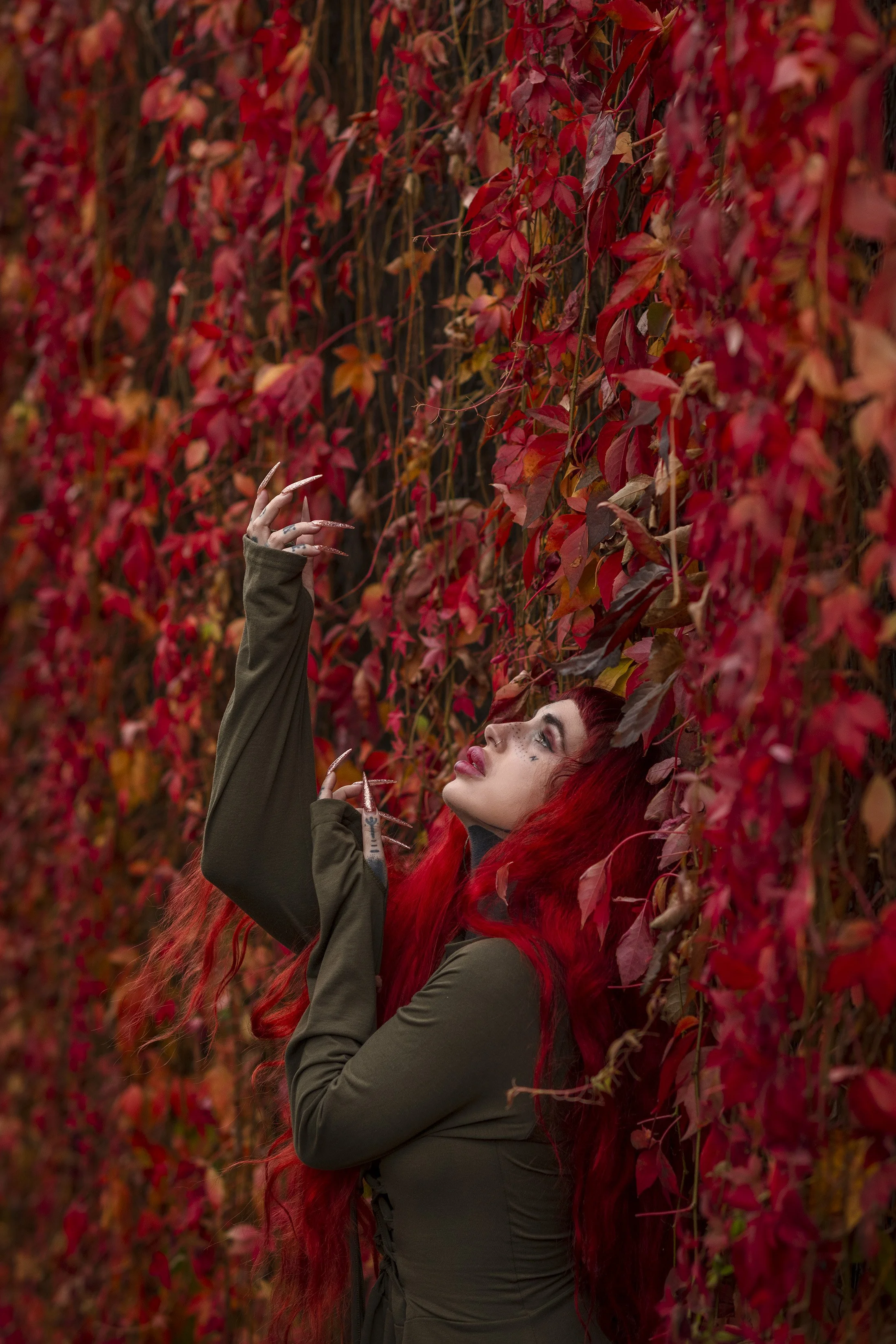 Tink Kaos, Twickenham 2025.