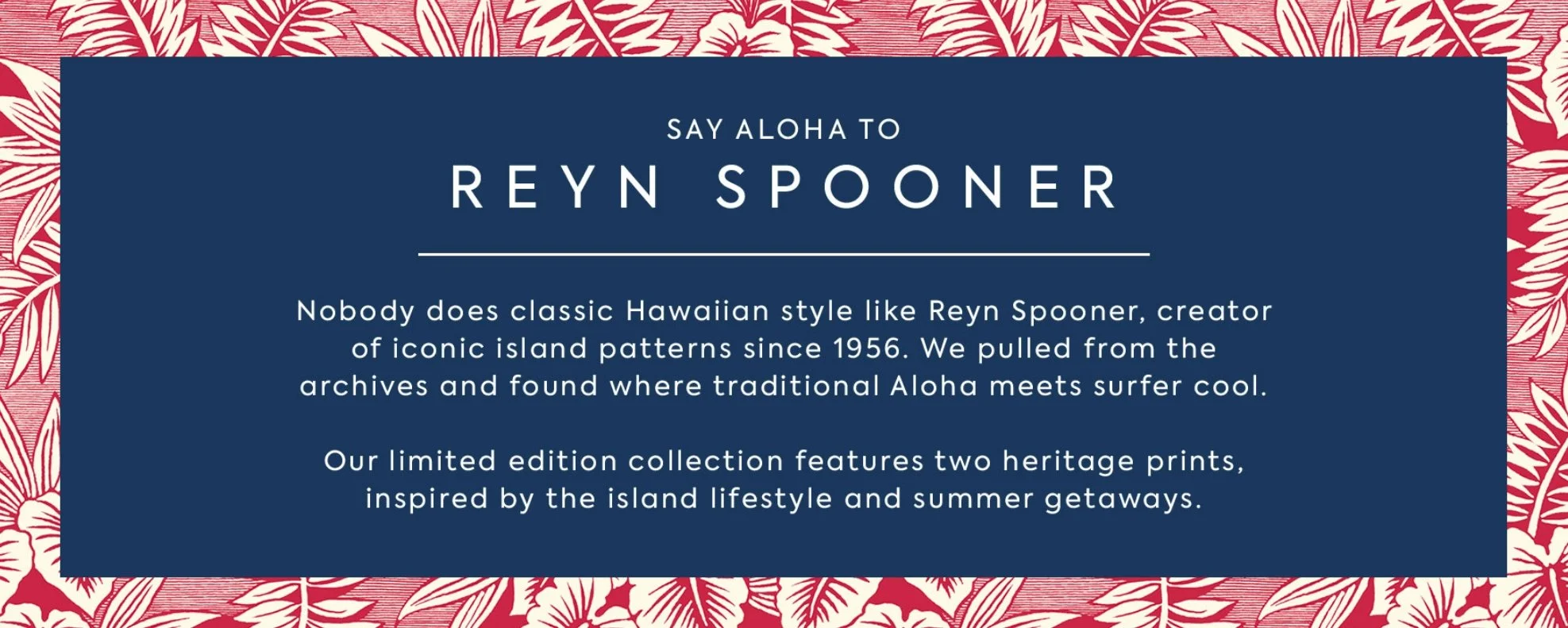 JeroenVH 2026_02_23__088.jpg