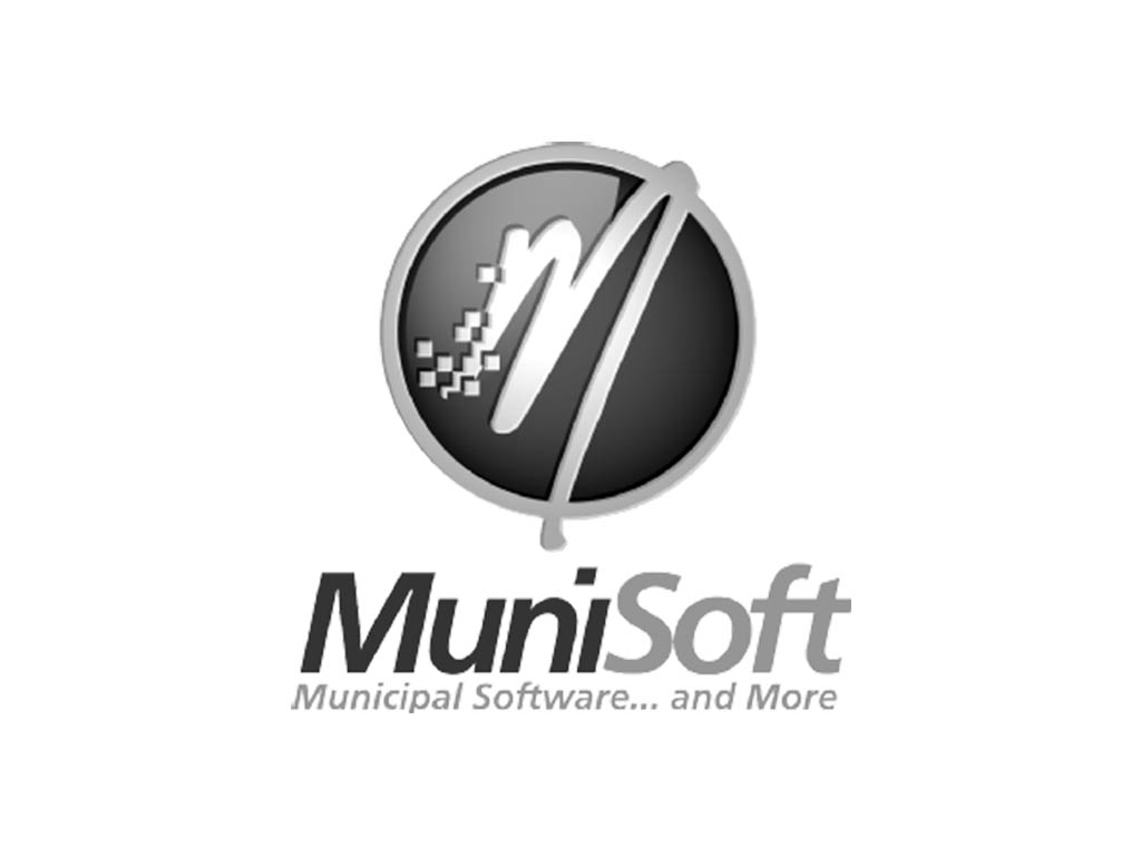Munisoft Established Consultant