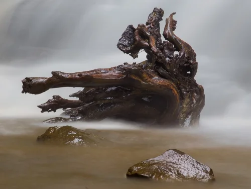 Cathedral Falls, West Virginia--Photo by Chuck Reback--@2015--All Rights Reserved