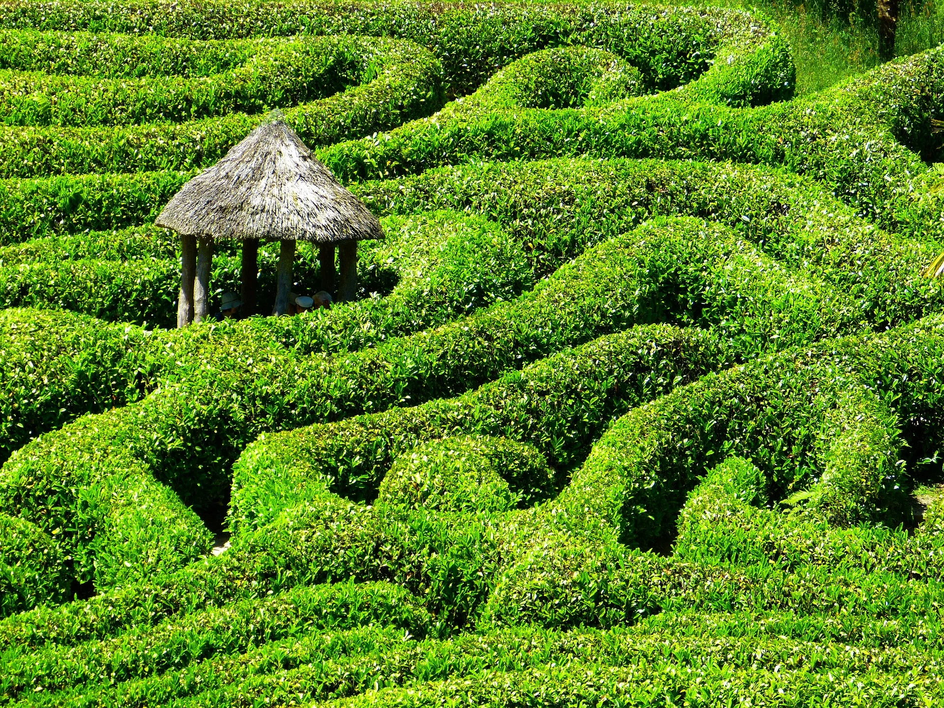 labyrinth.jpg