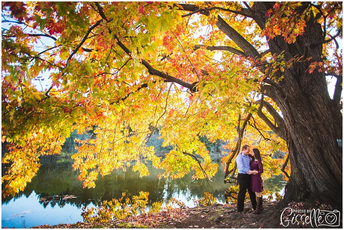 Morton_Arobretum_Engagement_Photos23.jpg