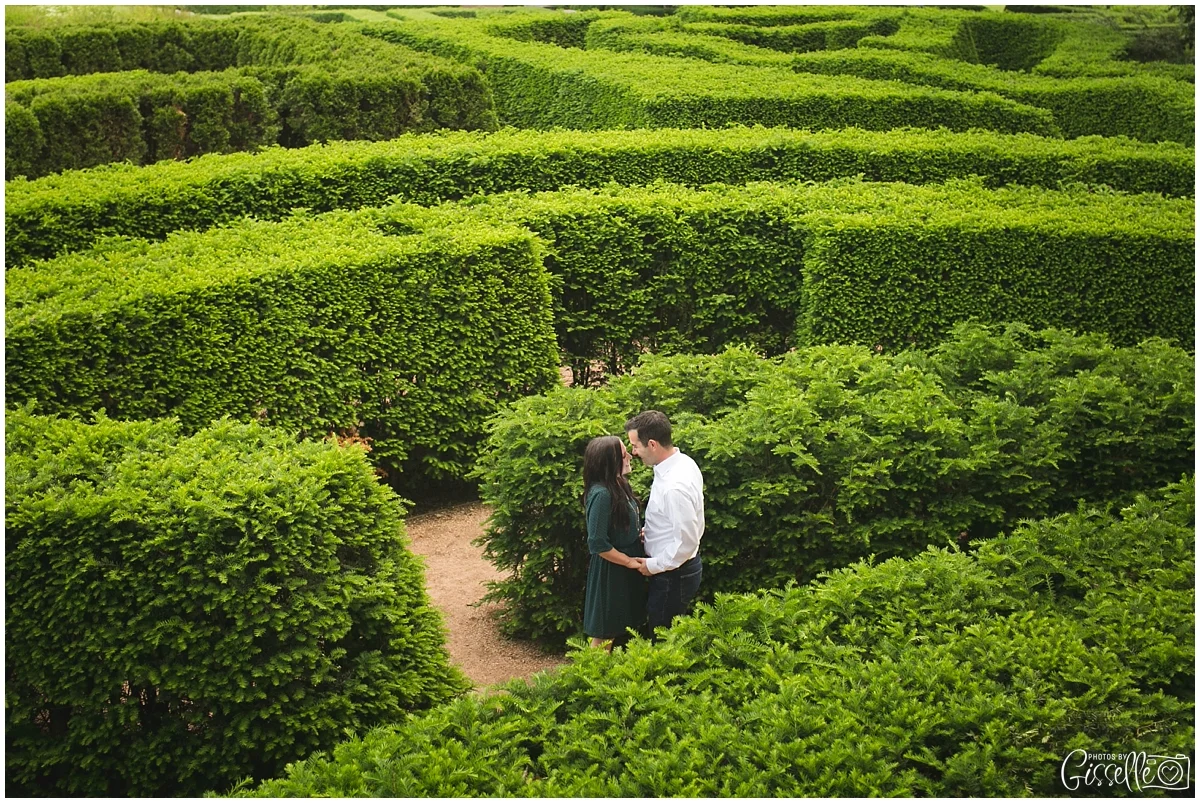 Morton-Arobretum-Engagement-Session-Photos-by-Gisselle005.jpg
