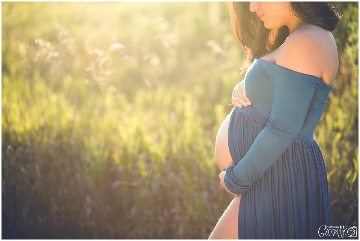 Chicago-Maternity-Photography_0008.jpg