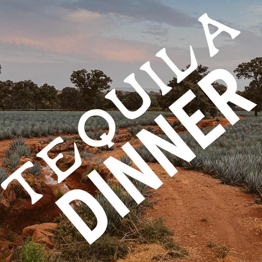 TEQUILA OCHO - Dinner Party!