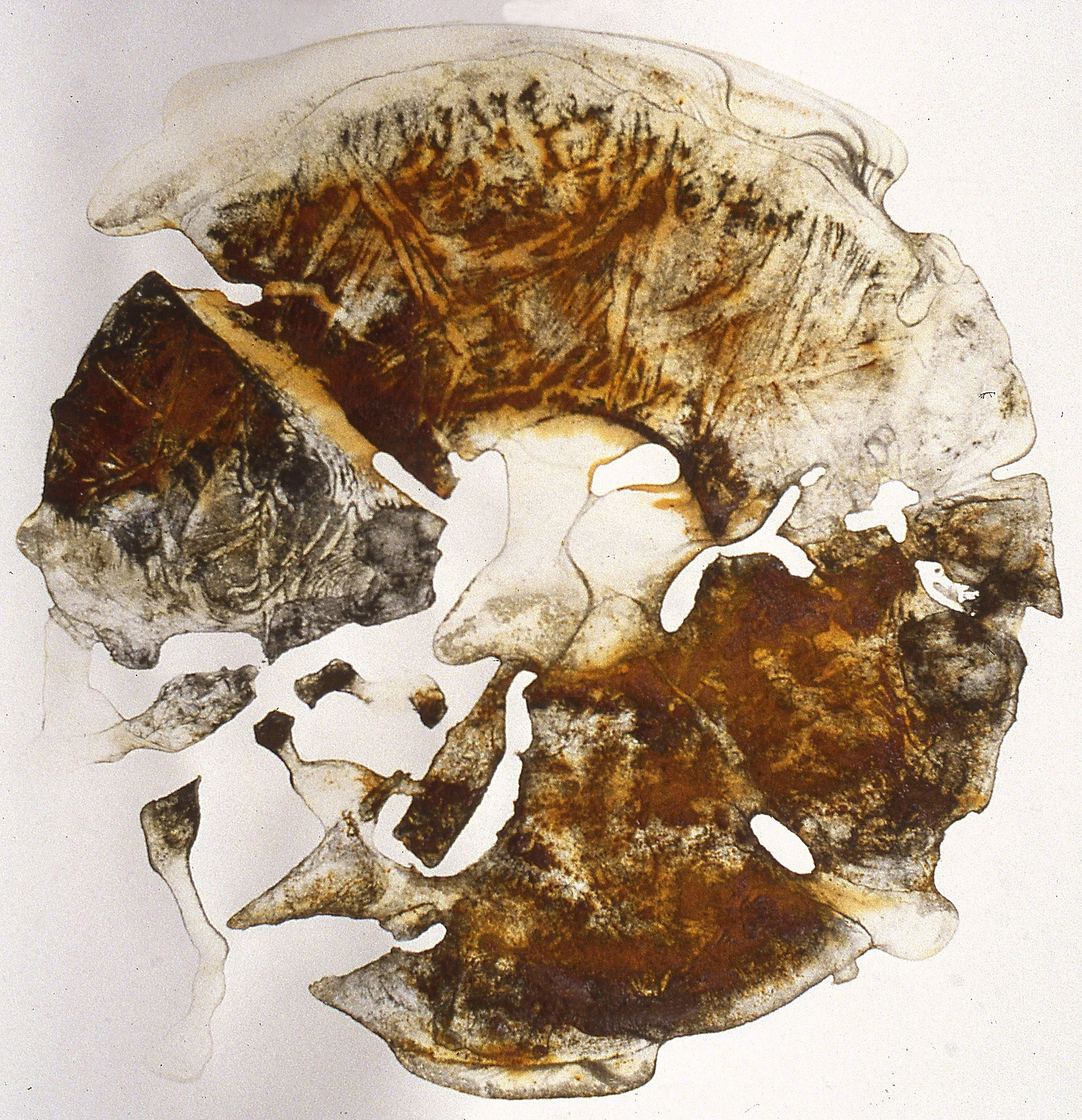 Untitled, 2003.