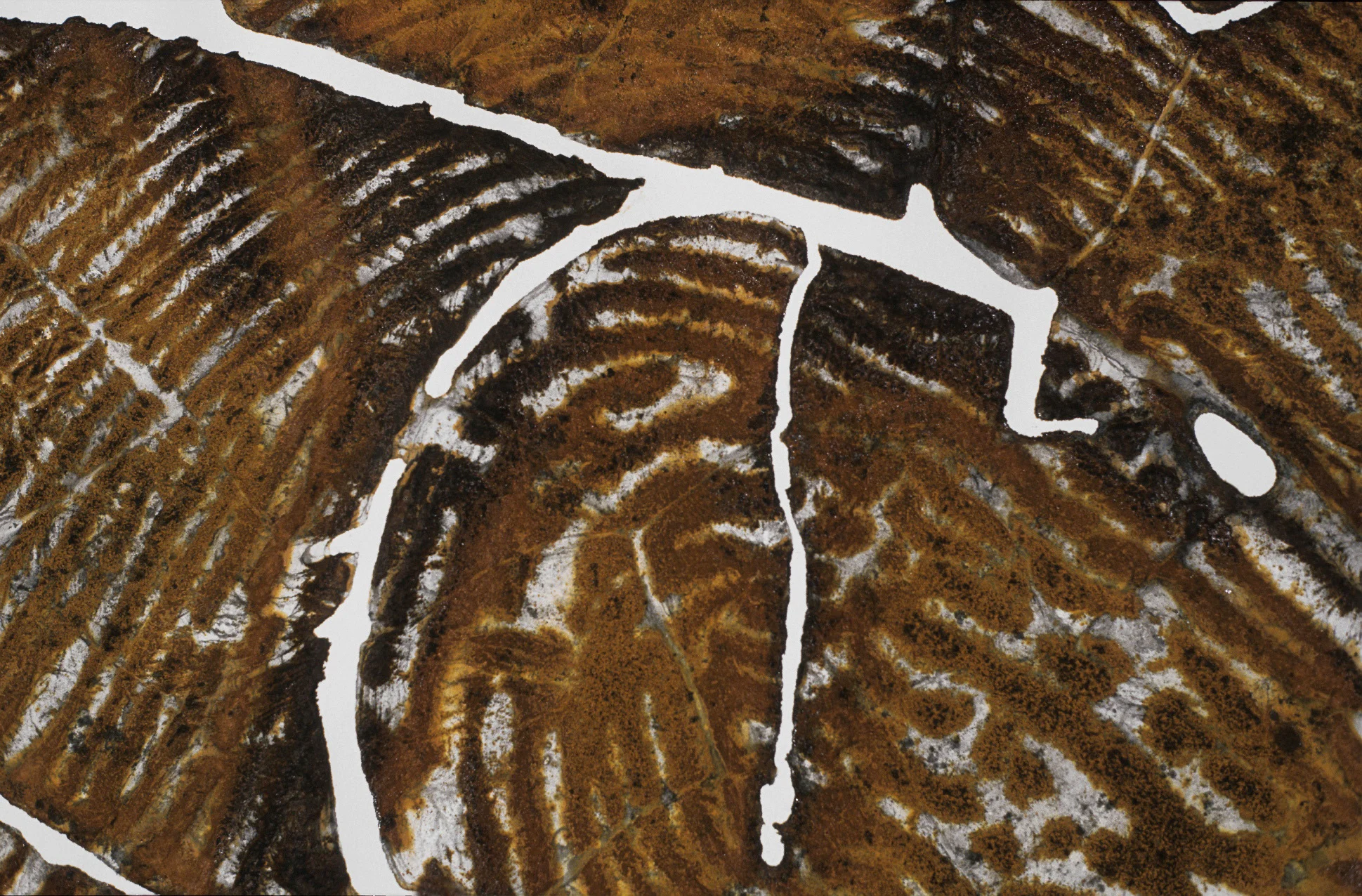Between the Lines, 2006. (Detail).