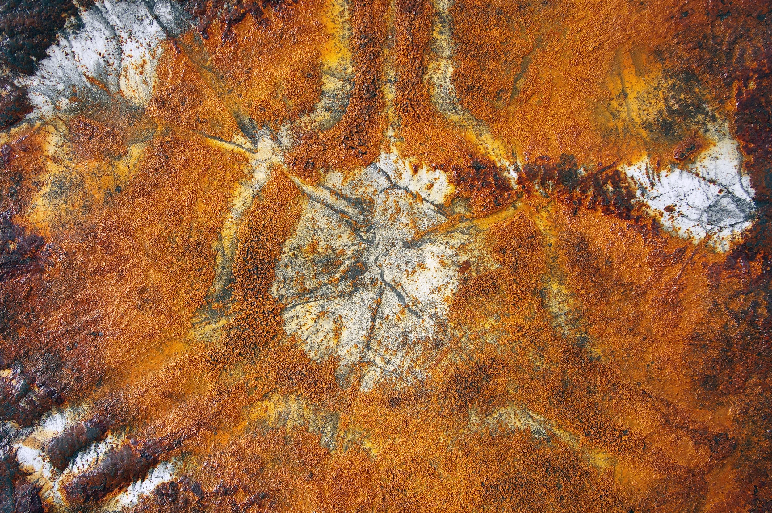 Summit Scalp IV. Beacon Ring, 2008. (Detail).